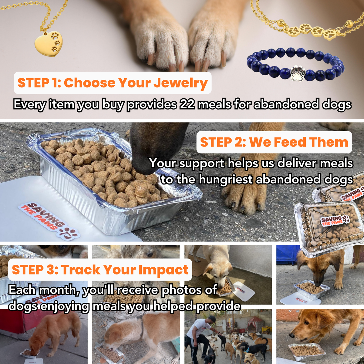 "No Longer By My Side, Forever In My Heart" – Stainless Steel Urn Paw Necklace